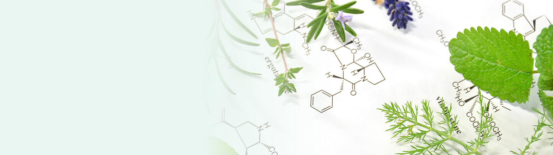 RefineNaturals-HK